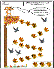 okul öncesi sayılar örüntü çalışmaları